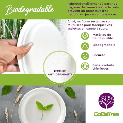 GoBeTree 100 x White Sugarcane Bagasse Round Disposable Plates 15cm Heavy Duty Disposable Paper Plates for Camping, Picnics, Parties, BBQs, Birthdays