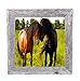 BarnwoodUSA Standard 10 by 10 Inch Picture Frame Reclaimed Wood