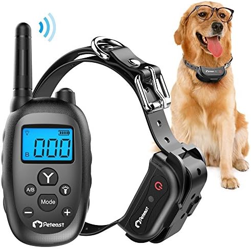 corner aquarium with stand