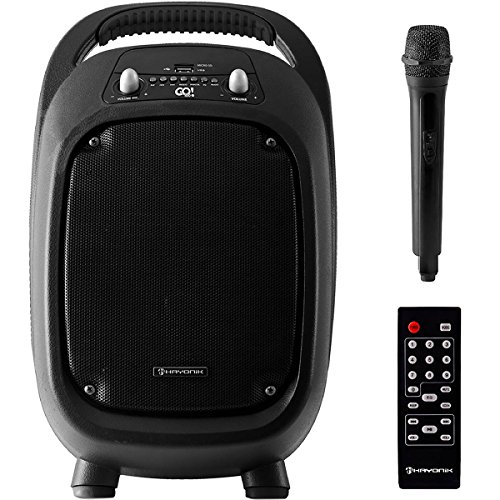Caixa Multiuso Portatil 100W RMS BLUETOOTH/MICROSD/USB/FM GO!100 Preta Hayonik