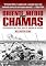Livro ORIENTE MÉDIO EM CHAMAS