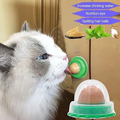 cat energy nutrition ball