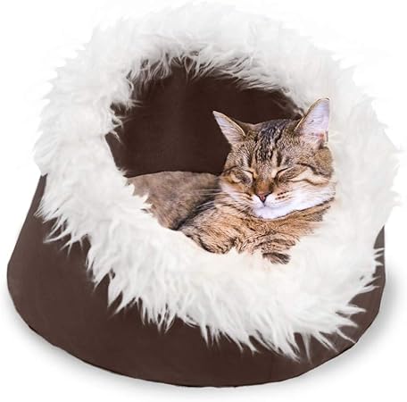 convertible cat bed