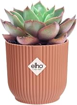 elho Vibes Fold Round Mini Pot Pink 9.3 x 8.8 cm 100% Recyclable view 9