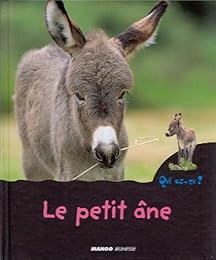 Le  petit âne