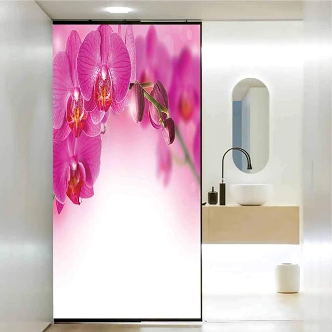 Anti-Glare and Anti-Ultraviolet Glass Film， Spa Blossoming Orchid