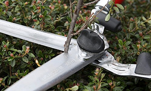 Berger hedge shear, wooden handle 4490 with straight blades, 2 sap grooves and wrist-gentle shock absorber