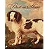 Best in Show: The Dog in Art from the Renaissance to Today