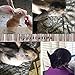 William Craft Apple Sticks Pet Chew Toy Treats for Chinchilla Guinea Pigs Rabbits Squirrel Hamster Bunny