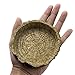 OMEM Reptile Natural Bowl Food and Water Dish Resin Made (Tree bark)