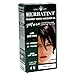 Herbatint Permanent Herbal Haircolour Gel, with Aloe Vera, 4N, Chestnut, 4.56-Ounce
