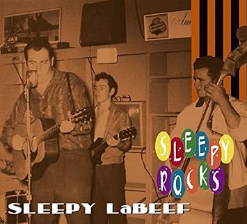 R&eacute;sultat de recherche d'images pour "sleepy labeef all the time"