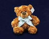 Teal Ribbon Awareness Bear (Retail)