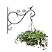 Fasmov Retro Iron Plant Hanging Hooks Wall Brackets for Planter Bird Feeder Lanterns Wind Chimes Plant Pot Basket with Screw, Pack of 4
