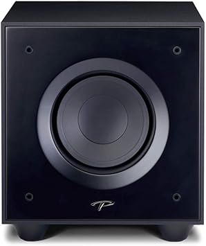 paradigm defiance v8