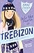 Into the Fourth at Trebizon (The Trebizon Boarding School Series)