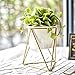 NCYP Geometric Iron Rack Holder Metal Stand Gold with White Ceramic Planter Indoor Desktop Garden Pot for Succulents Herbs Cactus Modern Style Window Sill Decorative Bonsai ( NO Plants )