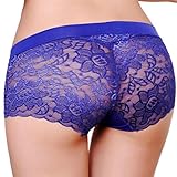 Sikye Womens Sexy Lingerie Underwear Lace Panties Hipster Transparent Comfort Knickers Breathable (Blue)
