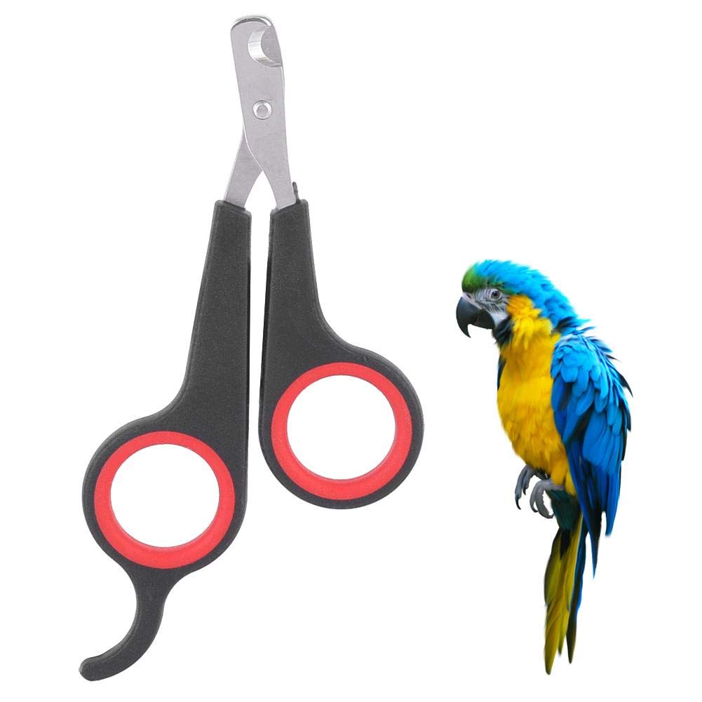 Parrot Nail Clippers, Parrot Nail Clippers Parrot Nail Clippers Nail Clippers for Domestic Birds Nail Clippers for Dogs Cats Rabbits Birds