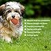 3 Rubber Chew Balls for Small Dogs & Puppies (2.4