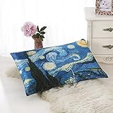 ALASKA BEAR - Natural Silk Pillowcase, Hypoallergenic, 19 momme, 600 thread count 100 percent Mulberry Silk, Queen Size with hidden zipper, Custom Painting Pillow Case for Room Décor