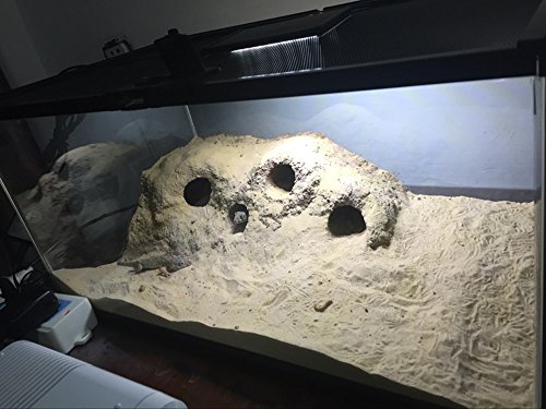 Hoke Day/Night LED Light Hood for Terrarium, White and Blue LEDs