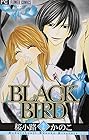 BLACK BIRD 第2巻