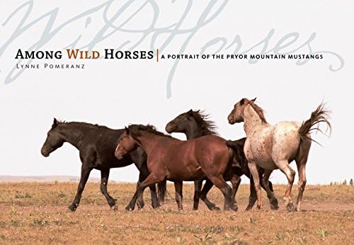 Amazon.com: Mustangs: Wild Horses of the West: 9781554073184