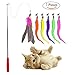 Cat Toys Wand Interactive Feather Teaser Stick and Exerciser Attachments Retractable Fishing Rod with 6 Refills Feathers Set for Cats Kitten (Worm)