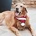 ZippyPaws - Holiday Santa Scarf, Stylish Dog Accessory - Large