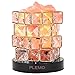 Plemo Salt Lamp, Himalayan Pink Sea Salt, Hand Carved Natural Amber Crystal Rock, Brightness Dimmable Control and Luxury Gift Box, 2 x 15w Bulbs, UL Approved Electric Wire