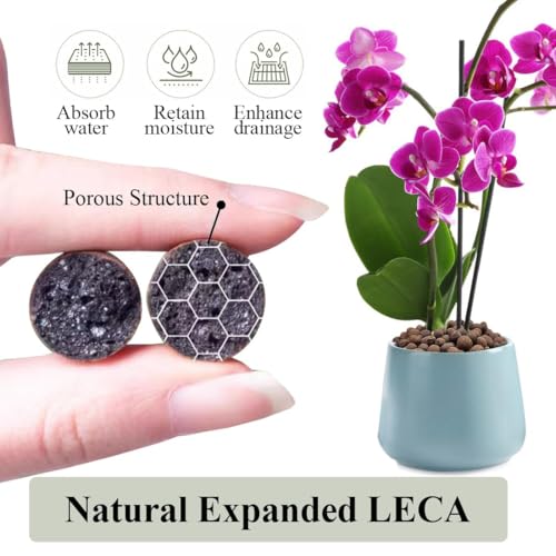 Clay Pebbles for Plants, 8mm-14mm Expanded LECA Balls Plant Garden Soil, Hydroponic, Aquaponics, Natural Leca Balls for Soil Root Development, Orchid Potting Mix, 2.2 Ib
