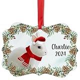 Blue Eyed White Netherland Dwarf Rabbit Christmas