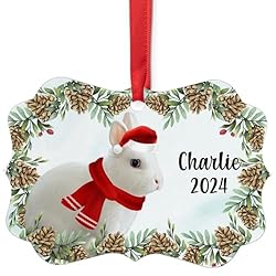 Blue Eyed White Netherland Dwarf Rabbit Christmas