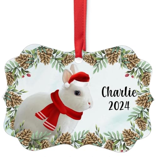 Blue Eyed White Netherland Dwarf Rabbit Christmas