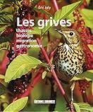 les grives by 