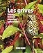 les grives by 