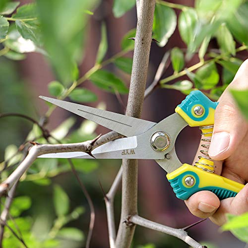WYF 8.1″Gardening Hand Pruner Pruning Shear with Straight Stainless Steel Blades, Ultra Sharp Garden Scissors for Flowers, Harvesting Fruits & Vegetables,Trimming Plants (Green) - Thumbnail 3