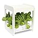 IDEER LIFE Mee Kitchen, Smart Indoor Gardening System w/LED Plant Grow Light, Mini Indoor Herb Garden, Hydroponics Indoor Gardening Kit w/Seedling Foam,Not Contain Seeds -12 Plants (IDE880290 White)