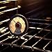 OXO Thermometer Oven, 1 EA