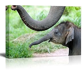 Wild Animals Canvas Prints Series - Elephants| Stretched and Ready to Hang - 16"x24"