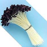 W OF S A SCOTT CLARK WOOLLEY Medium Lily &amp; Peony Flower Stamens (Brown)