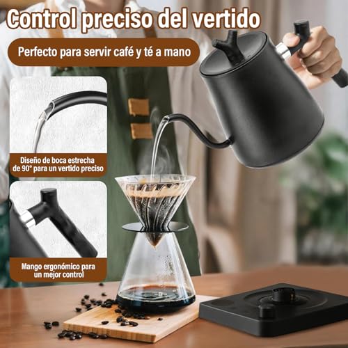 GALASALA Tetera Electrica de Cuello de Cisne de 1 L, Hervidor Agua Electrico de Acero Inoxidable 304, 800W de Calentamiento Rápido, Tetera Cuello de Cisne Portátil，con Apagado Automático