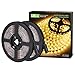 LE 12V LED Strip Light, Flexible, SMD 2835, 300 LEDs, 16.4ft Tape Light for Home, Kitchen, Party, Christmas and More, Non-waterproof, Warm White, Pack of 2 primary