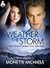 Weather the Storm (Security Specialists International Book 3)