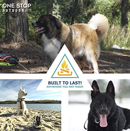 beach stake for dogs