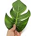 Tytroy Green Tropical Leaves Artificial Palm Monstera Hawaiian Luau Party Decoration (48 pc)