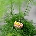 Floralby Fairy Garden Kit, Miniature Birds DIY Dollhouse Fairy Garden Ornament