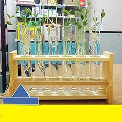 Chiloskit 21mm/0.81" Hole Wood Wooden Test Tube