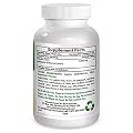 Mastic Gum 500 mg 60 Capsules by Best Naturals - Supports stomach health and duodenum - Manufactured in a USA Based GMP Certified Facility and Third Party Tested for Purity. Guaranteed!!